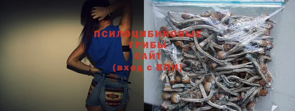 Альфа ПВП Арсеньев
