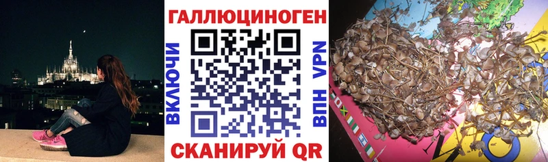 Псилоцибиновые грибы MAGIC MUSHROOMS цены наркотик Георгиевск