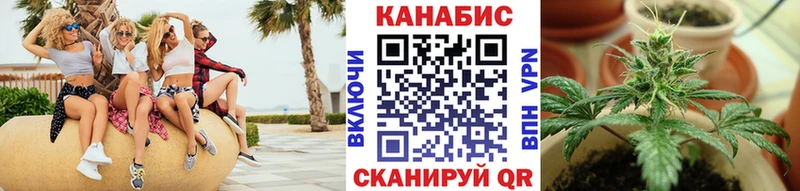 Шишки марихуана Amnesia  наркотики  Георгиевск 